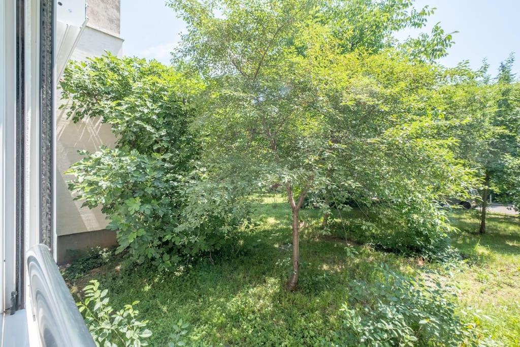 Top Location, Brand New 3 Bdrm Apt & Free Parking Sofia Exteriör bild