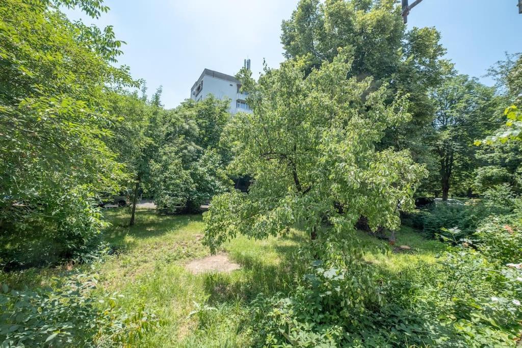 Top Location, Brand New 3 Bdrm Apt & Free Parking Sofia Exteriör bild