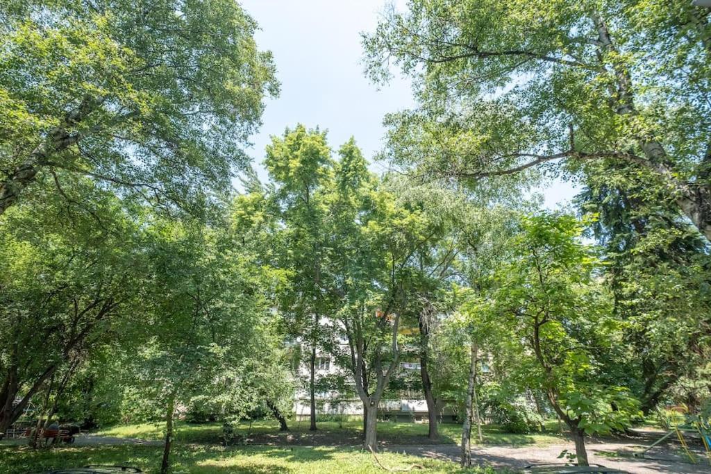 Top Location, Brand New 3 Bdrm Apt & Free Parking Sofia Exteriör bild